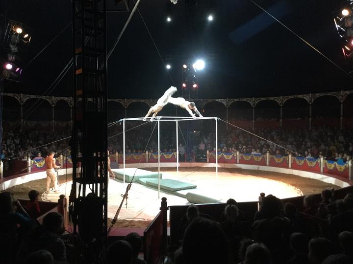 Toute l'Ecole au cirque